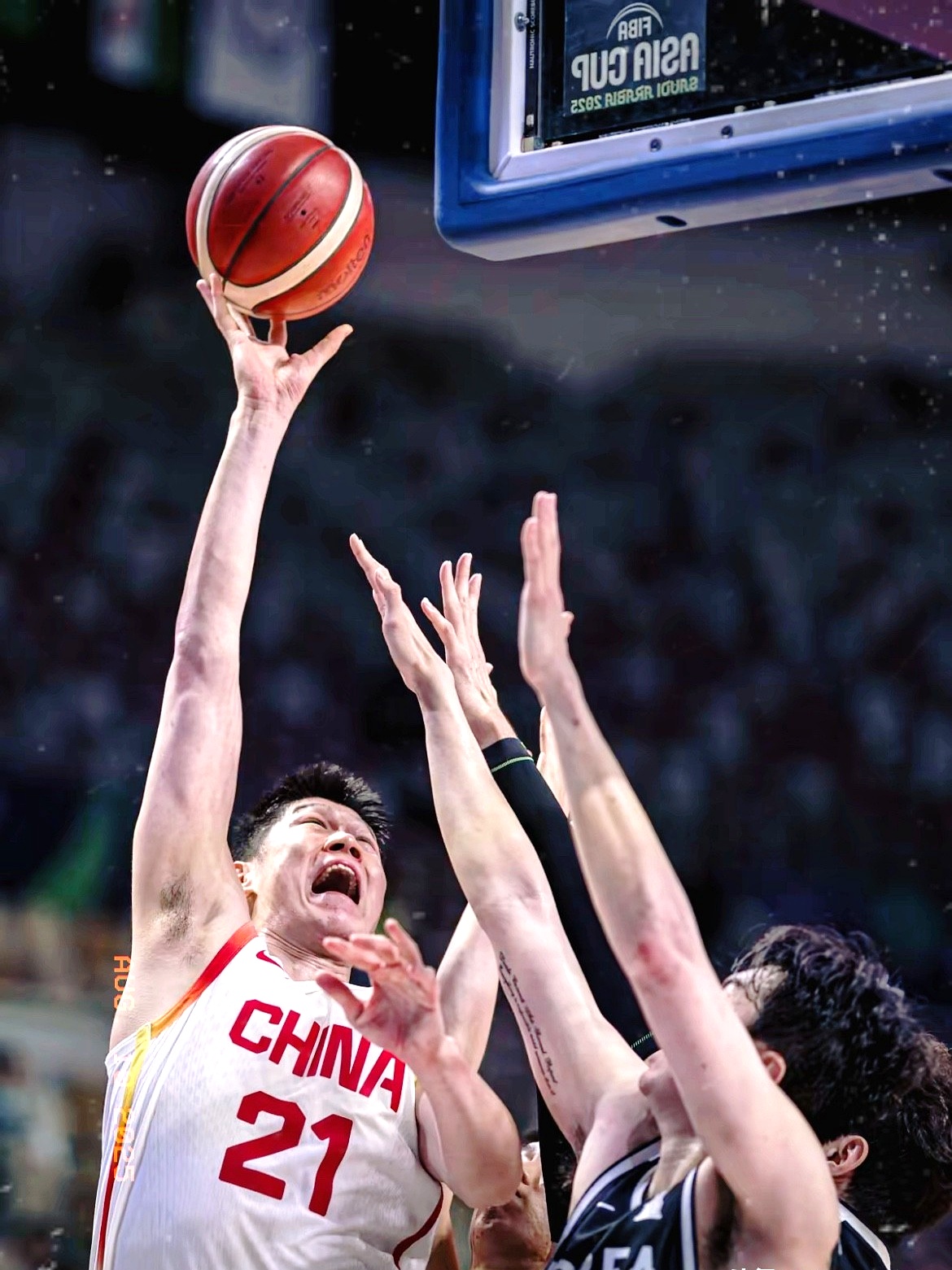 辽宁队力克江苏队,胡金秋高光表现 辽宁队力克江苏队,胡金秋高光表现