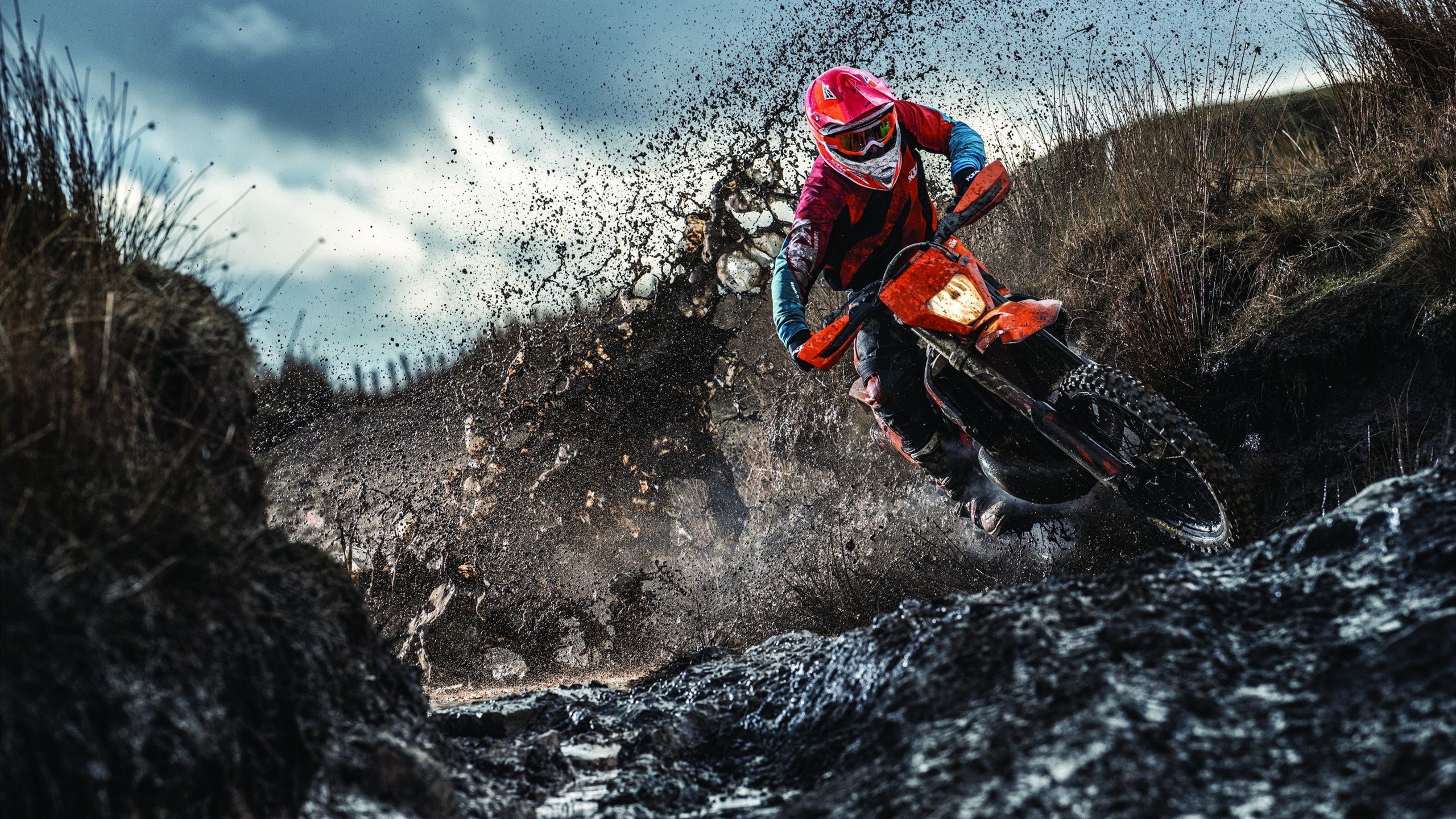 新王当立，小贾伦·杰克逊在骑士对阵马刺的焦点战中证明自己